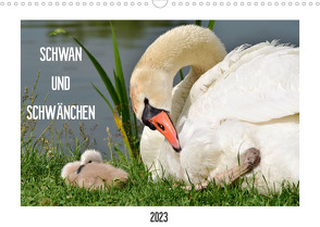 SCHWAN UND SCHWÄNCHEN (Wandkalender 2023 DIN A3 quer) von Gaudig,  Marlise