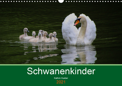 Schwanenkinder (Wandkalender 2021 DIN A3 quer) von Hueber,  Kathrin