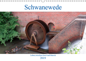 Schwanewede in den 4 Jahreszeiten (Wandkalender 2019 DIN A3 quer) von Jannusch,  Andreas