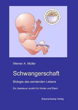 Schwangerschaft von Müller,  Werner A.