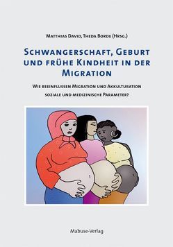 Schwangerschaft, Geburt und frühe Kindheit in der Migration von Borde,  Theda, David,  Matthias