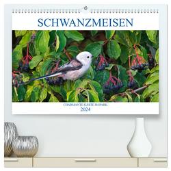 Schwanzmeisen (hochwertiger Premium Wandkalender 2024 DIN A2 quer), Kunstdruck in Hochglanz von Jäger,  Anette