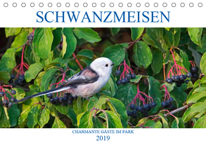 Schwanzmeisen (Tischkalender 2019 DIN A5 quer) von Jäger,  Anette
