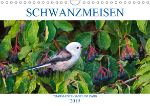 Schwanzmeisen (Wandkalender 2019 DIN A4 quer) von Jäger,  Anette