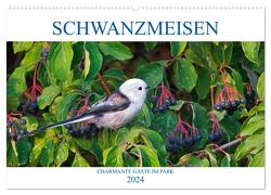 Schwanzmeisen (Wandkalender 2024 DIN A2 quer), CALVENDO Monatskalender von Jäger,  Anette