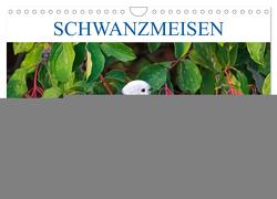 Schwanzmeisen (Wandkalender 2024 DIN A4 quer), CALVENDO Monatskalender von Jäger,  Anette