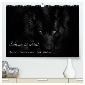 Schwarz ist schön! Der lackschwarze altdeutsche Schäferhund (hochwertiger Premium Wandkalender 2024 DIN A2 quer), Kunstdruck in Hochglanz von Werz,  Rena