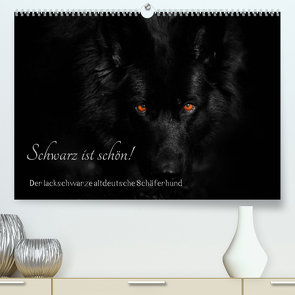 Schwarz ist schön! Der lackschwarze altdeutsche Schäferhund (Premium, hochwertiger DIN A2 Wandkalender 2023, Kunstdruck in Hochglanz) von Werz,  Rena