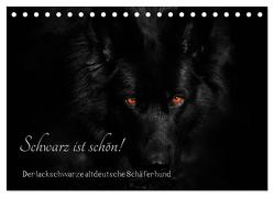 Schwarz ist schön! Der lackschwarze altdeutsche Schäferhund (Tischkalender 2024 DIN A5 quer), CALVENDO Monatskalender von Werz,  Rena