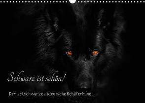 Schwarz ist schön! Der lackschwarze altdeutsche Schäferhund (Wandkalender 2023 DIN A3 quer) von Werz,  Rena