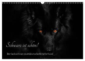 Schwarz ist schön! Der lackschwarze altdeutsche Schäferhund (Wandkalender 2024 DIN A3 quer), CALVENDO Monatskalender von Werz,  Rena