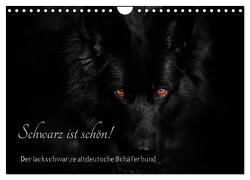 Schwarz ist schön! Der lackschwarze altdeutsche Schäferhund (Wandkalender 2024 DIN A4 quer), CALVENDO Monatskalender von Werz,  Rena