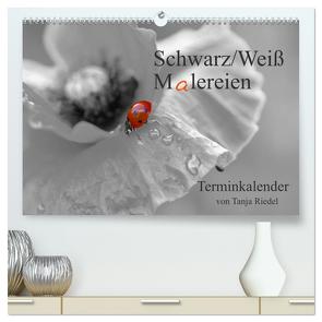 Schwarz-Weiß Malereien Terminkalender von Tanja Riedel für die Schweiz (hochwertiger Premium Wandkalender 2024 DIN A2 quer), Kunstdruck in Hochglanz von Riedel,  Tanja