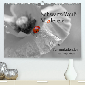 Schwarz-Weiß Malereien Terminkalender von Tanja Riedel für die SchweizCH-Version (Premium, hochwertiger DIN A2 Wandkalender 2023, Kunstdruck in Hochglanz) von Riedel,  Tanja