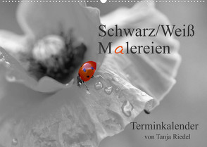 Schwarz-Weiß Malereien Terminkalender von Tanja Riedel für die SchweizCH-Version (Wandkalender 2022 DIN A2 quer) von Riedel,  Tanja