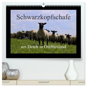 Schwarzkopfschafe am Deich in Ostfriesland (hochwertiger Premium Wandkalender 2024 DIN A2 quer), Kunstdruck in Hochglanz von Poetsch,  Rolf