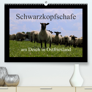 Schwarzkopfschafe am Deich in Ostfriesland (Premium, hochwertiger DIN A2 Wandkalender 2023, Kunstdruck in Hochglanz) von Poetsch,  Rolf