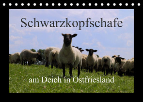 Schwarzkopfschafe am Deich in Ostfriesland (Tischkalender 2023 DIN A5 quer) von Poetsch,  Rolf