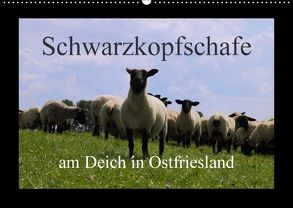 Schwarzkopfschafe am Deich in Ostfriesland (Wandkalender 2018 DIN A2 quer) von Poetsch,  Rolf