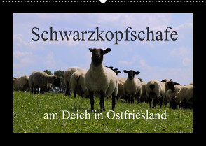 Schwarzkopfschafe am Deich in Ostfriesland (Wandkalender 2022 DIN A2 quer) von Poetsch,  Rolf