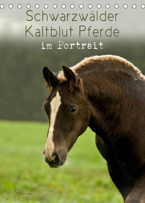 Schwarzwälder Kaltblut Pferde im Portrait (Tischkalender 2023 DIN A5 hoch) von Homberg,  Simone