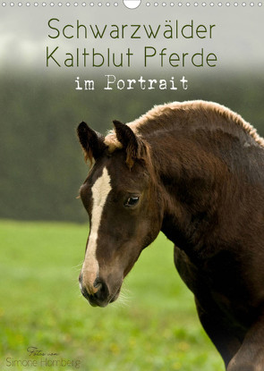 Schwarzwälder Kaltblut Pferde im Portrait (Wandkalender 2022 DIN A3 hoch) von Homberg,  Simone