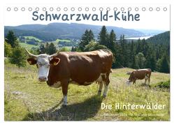 Schwarzwald-Kühe – Die Hinterwälder (Tischkalender 2024 DIN A5 quer), CALVENDO Monatskalender von Goldscheider,  Biothemen,  Stefanie