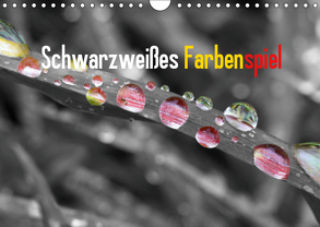 Schwarzweißes Farbenspiel 2019 / CH-Version (Wandkalender 2019 DIN A4 quer) von Poetsch,  Rolf