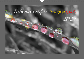 Schwarzweißes Farbenspiel 2021 (Wandkalender 2021 DIN A3 quer) von Poetsch,  Rolf