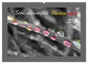 Schwarzweißes Farbenspiel 2024 / AT Version (Wandkalender 2024 DIN A2 quer), CALVENDO Monatskalender von Poetsch,  Rolf
