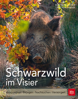 Schwarzwild im Visier von Meyer,  Matthias, Waltmann,  Dirk