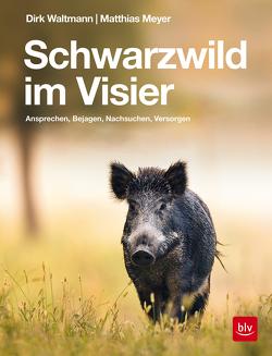 Schwarzwild im Visier von Meyer,  Matthias, Waltmann,  Dirk