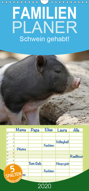 Schwein gehabt! – Familienplaner hoch (Wandkalender 2020 , 21 cm x 45 cm, hoch) von Lindert-Rottke,  Antje