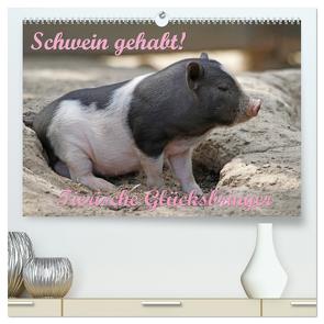 Schwein gehabt! (hochwertiger Premium Wandkalender 2024 DIN A2 quer), Kunstdruck in Hochglanz von Lindert-Rottke,  Antje