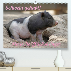 Schwein gehabt! (Premium, hochwertiger DIN A2 Wandkalender 2023, Kunstdruck in Hochglanz) von Lindert-Rottke,  Antje