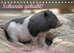 Schwein gehabt! (Tischkalender 2023 DIN A5 quer) von Lindert-Rottke,  Antje