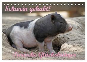 Schwein gehabt! (Tischkalender 2024 DIN A5 quer), CALVENDO Monatskalender von Lindert-Rottke,  Antje
