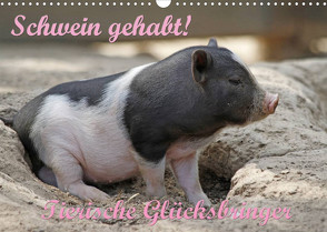 Schwein gehabt! (Wandkalender 2023 DIN A3 quer) von Lindert-Rottke,  Antje