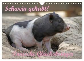 Schwein gehabt! (Wandkalender 2024 DIN A4 quer), CALVENDO Monatskalender von Lindert-Rottke,  Antje