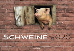 Schweine 2020