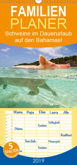 Schweine im Dauerurlaub auf den Bahamas! – Familienplaner hoch (Wandkalender 2019 , 21 cm x 45 cm, hoch) von Stanzer,  Elisabeth