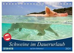 Schweine im Dauerurlaub auf den Bahamas! (Tischkalender 2024 DIN A5 quer), CALVENDO Monatskalender von Stanzer,  Elisabeth