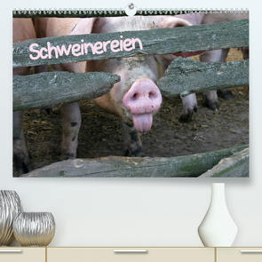 Schweinereien (Premium, hochwertiger DIN A2 Wandkalender 2021, Kunstdruck in Hochglanz) von Berg,  Martina