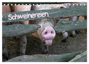 Schweinereien (Tischkalender 2024 DIN A5 quer), CALVENDO Monatskalender von Berg,  Martina