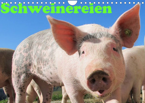 Schweinereien (Wandkalender 2022 DIN A4 quer) von Wolf,  Jan