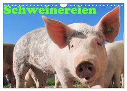 Schweinereien (Wandkalender 2024 DIN A4 quer), CALVENDO Monatskalender von Wolf,  Jan