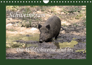 Schweinkram – Die Wildschweine sind los (Wandkalender 2023 DIN A4 quer) von Lindert-Rottke,  Antje