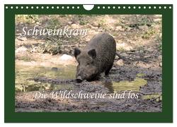Schweinkram – Die Wildschweine sind los (Wandkalender 2024 DIN A4 quer), CALVENDO Monatskalender von Lindert-Rottke,  Antje