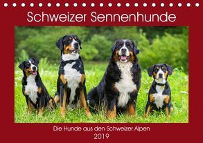 Schweizer Sennenhunde – die Hunde aus den Schweizer Alpen (Tischkalender 2019 DIN A5 quer) von Starick,  Sigrid