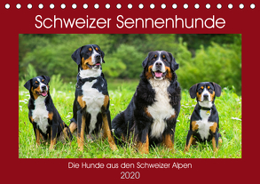 Schweizer Sennenhunde – die Hunde aus den Schweizer Alpen (Tischkalender 2020 DIN A5 quer) von Starick,  Sigrid